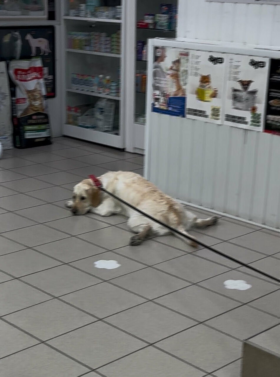 more clinic photos 8113