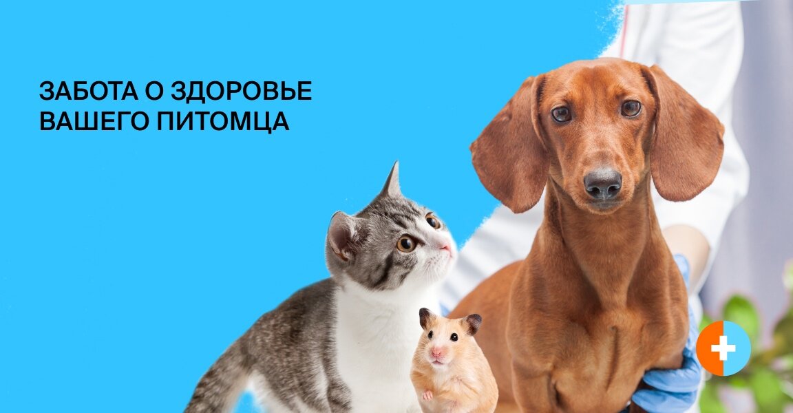 clinic general image