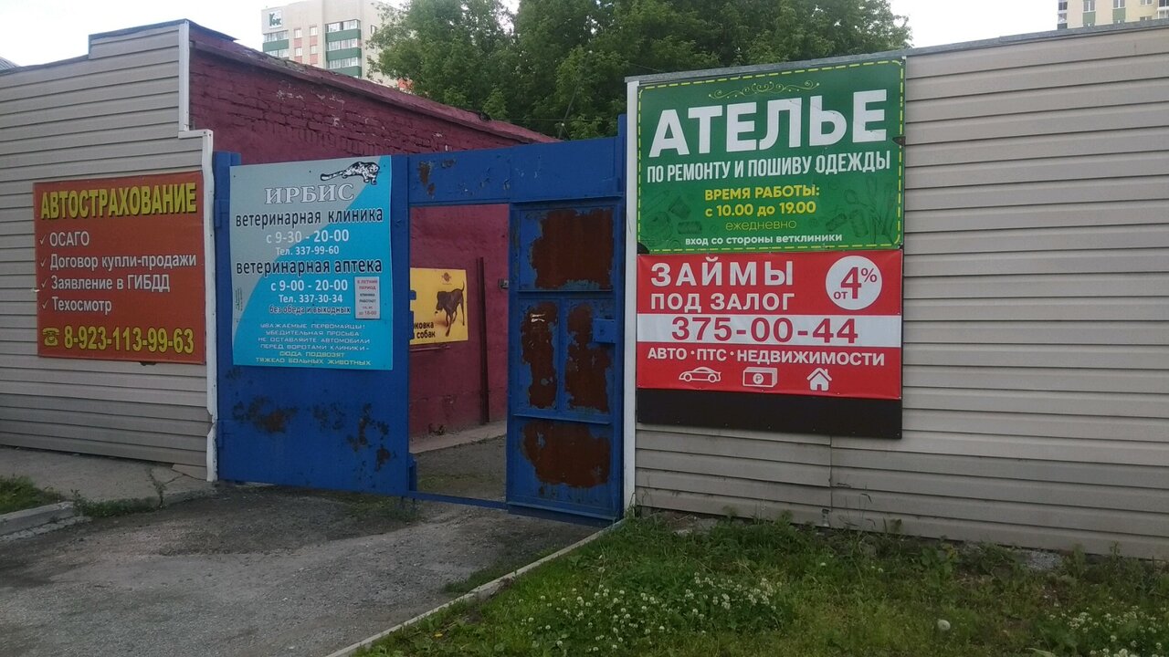Фото «Ирбис»