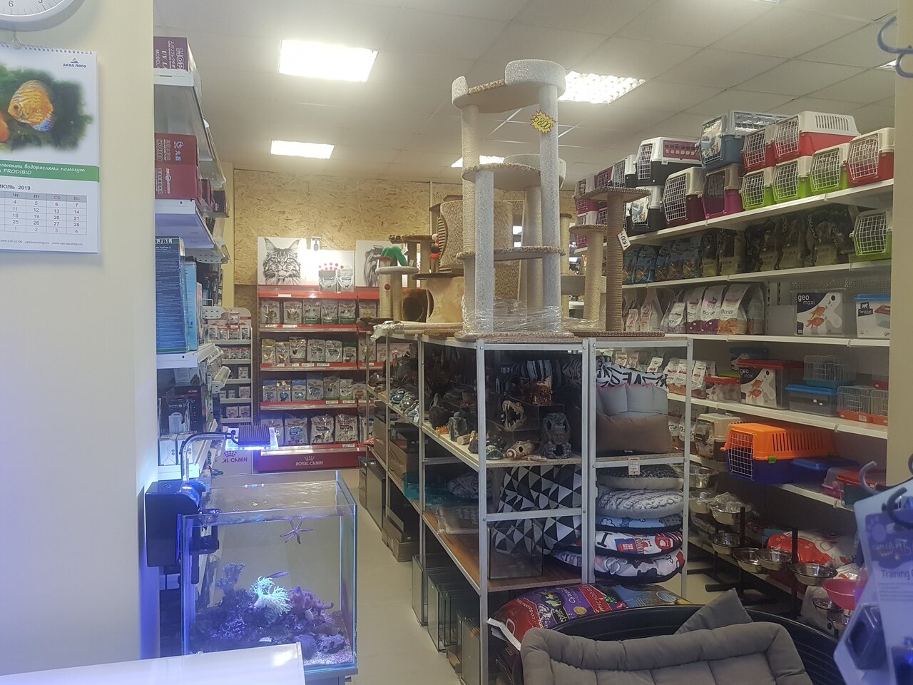 Фото клиники 71172