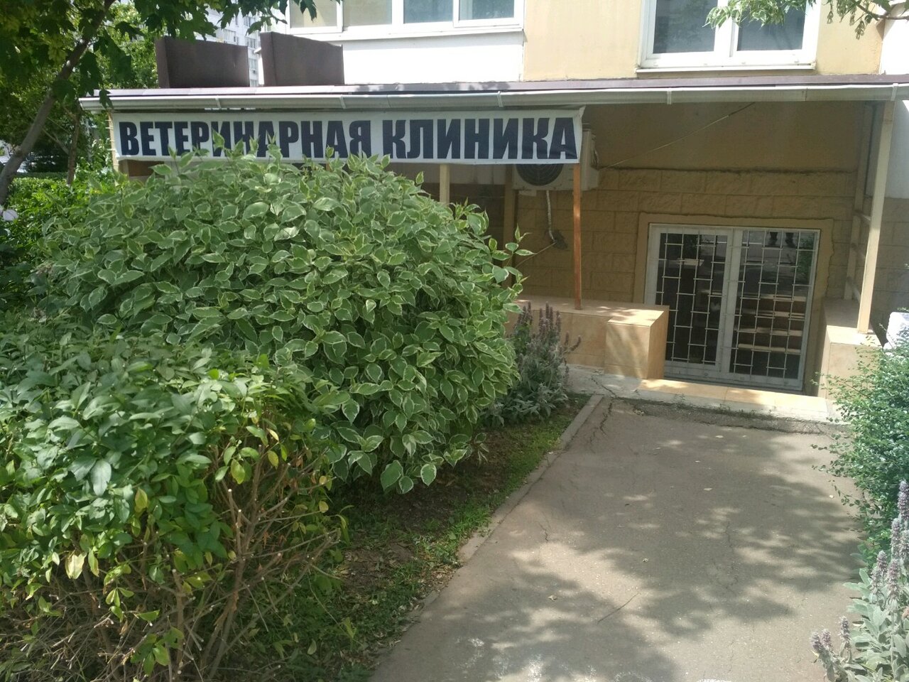 Фото клиники 44336