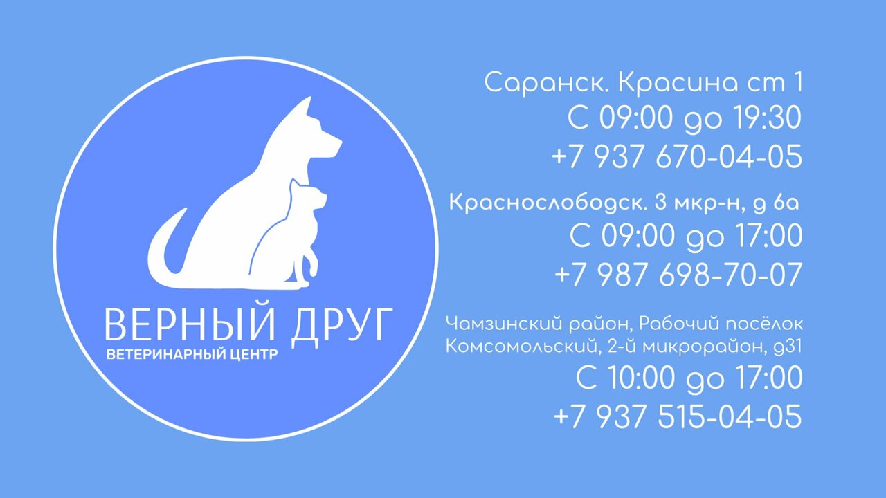 Фото клиники Верный друг