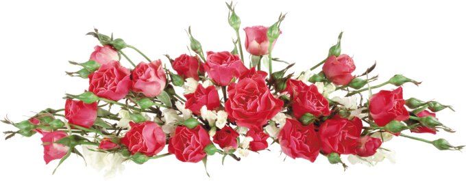 Ветуправление Тимашевского района