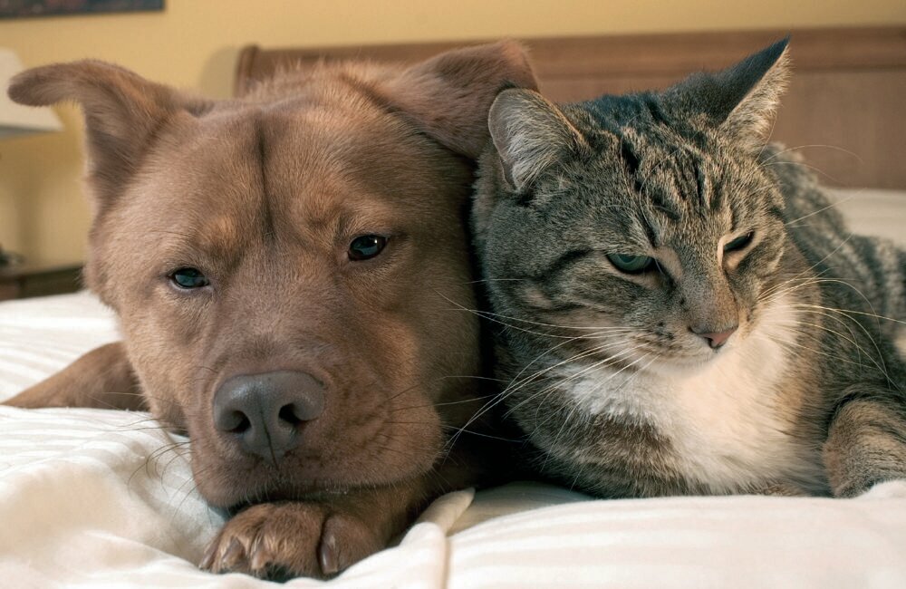 more clinic photos 5330