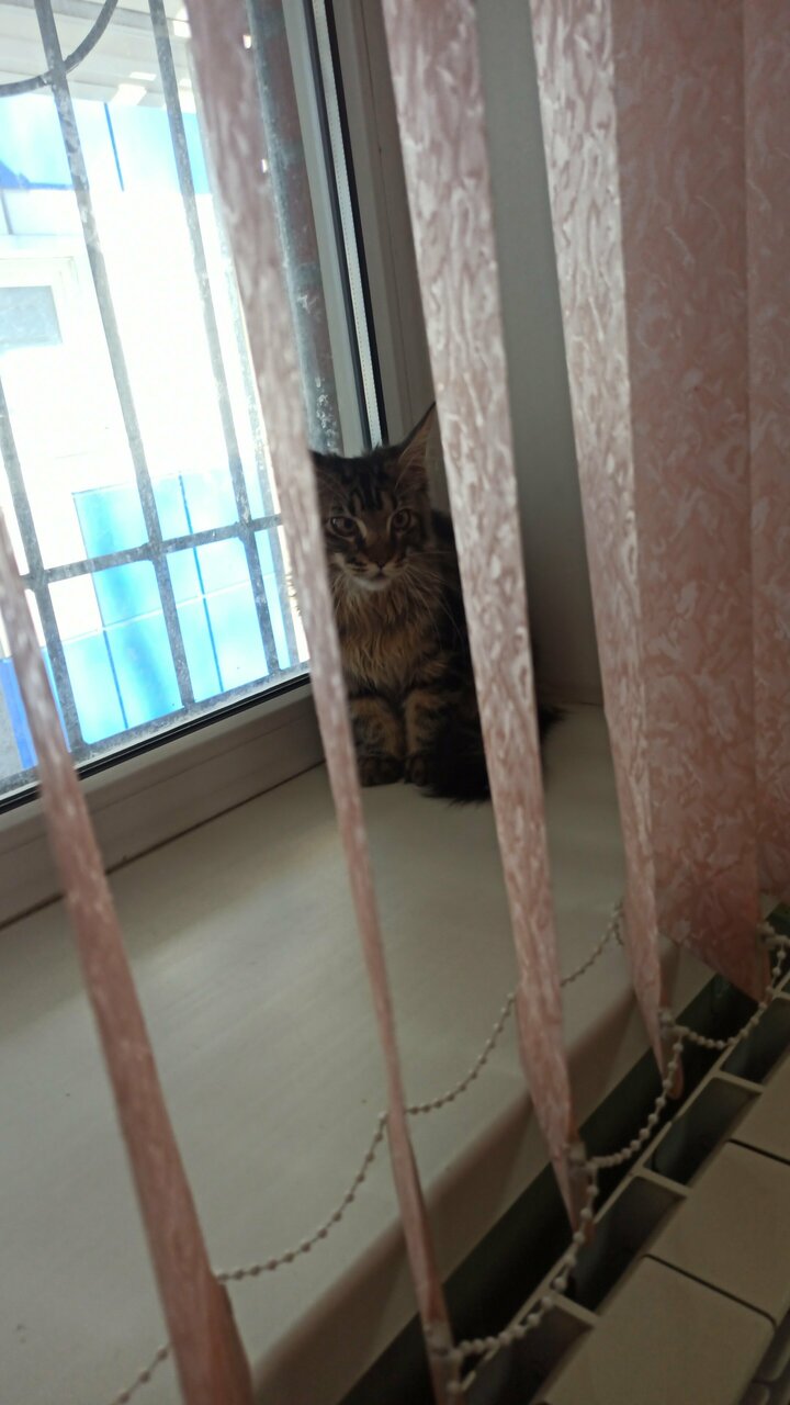 Фото клиники 35025