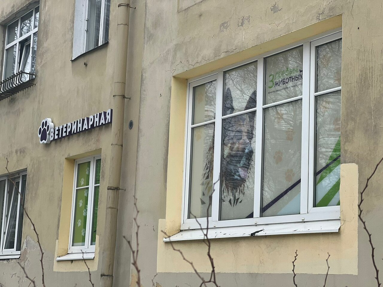Фото клиники 53478