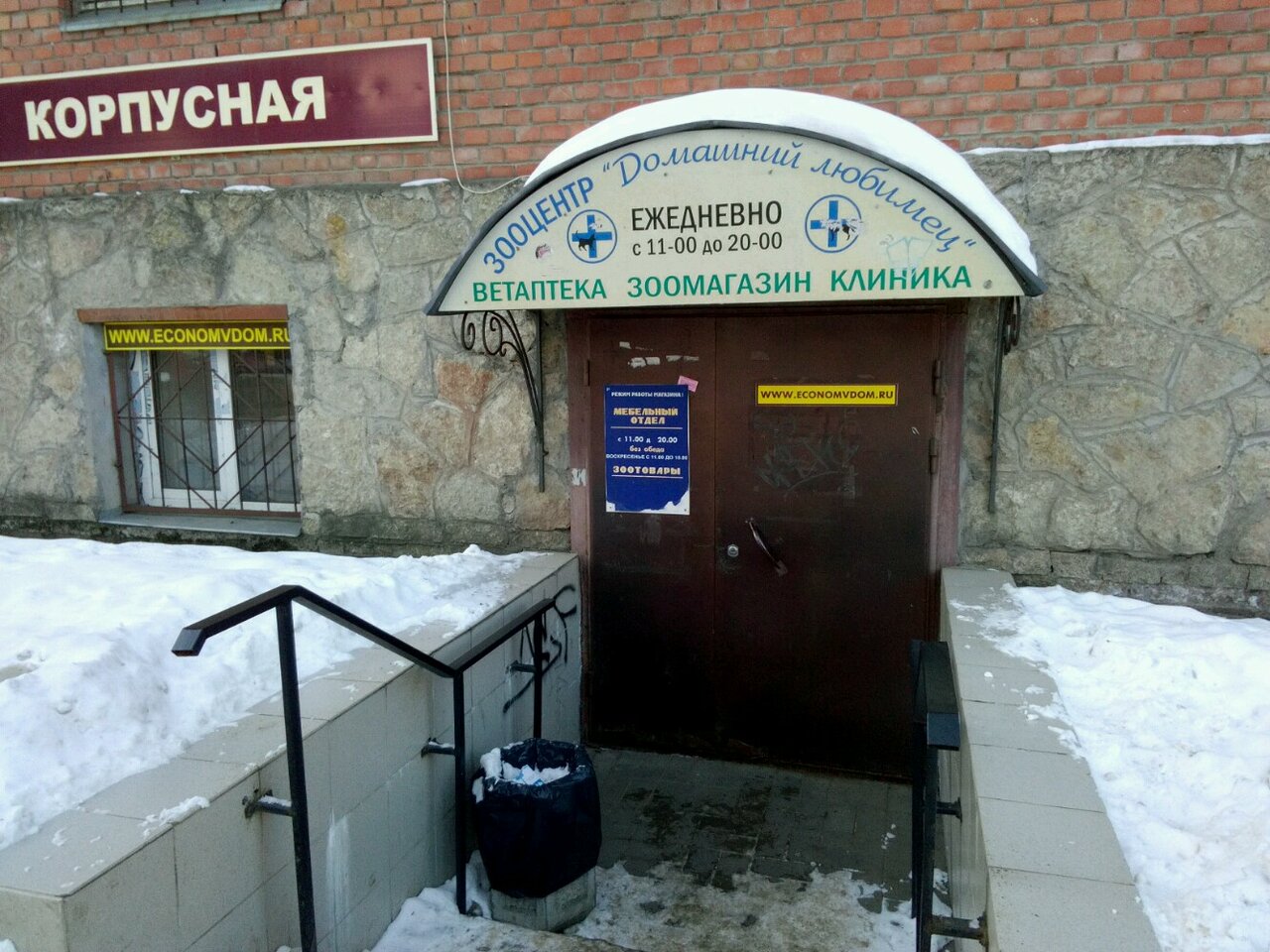 Домашний любимец