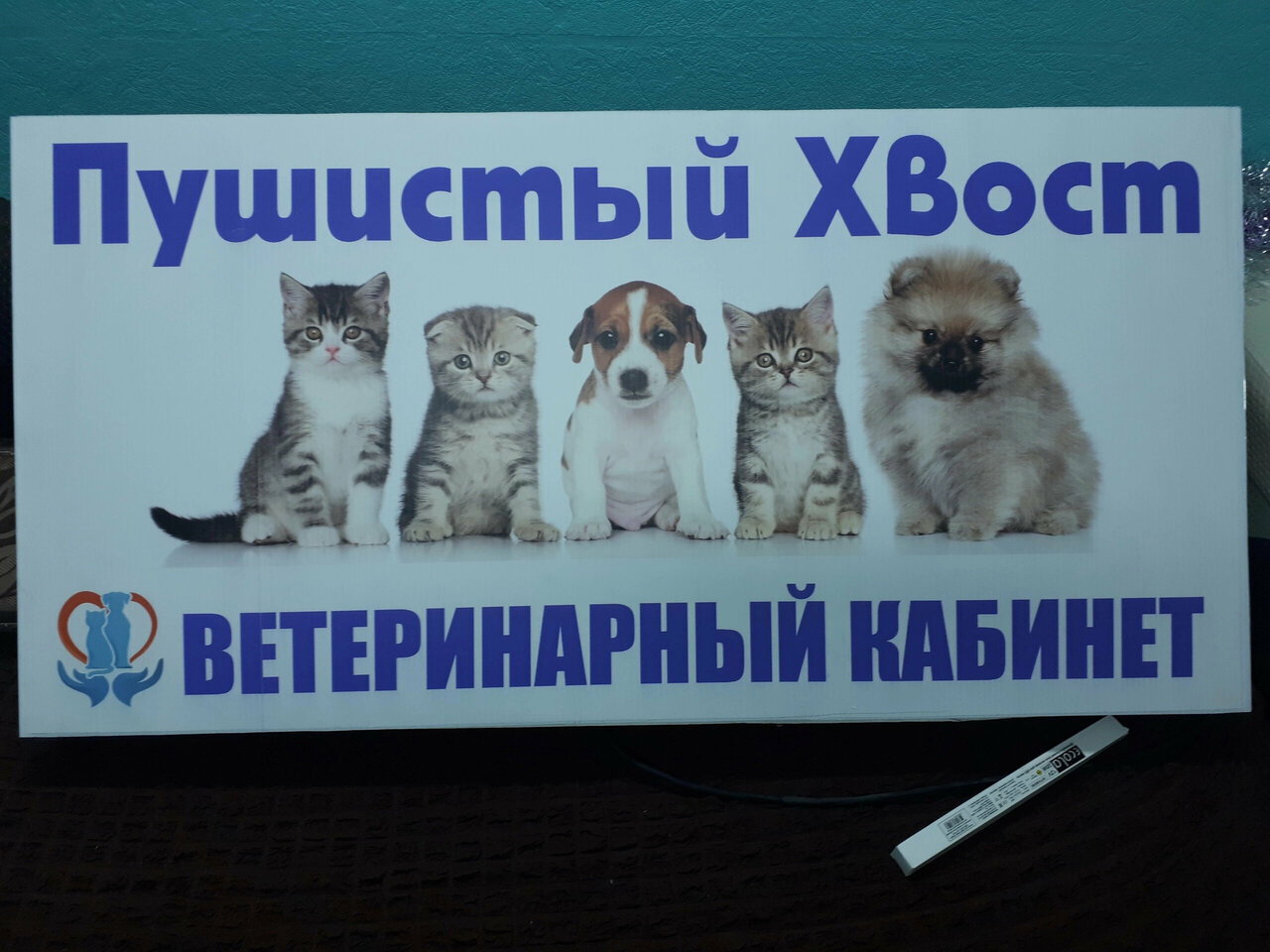 Фото клиники Пушистый хвост