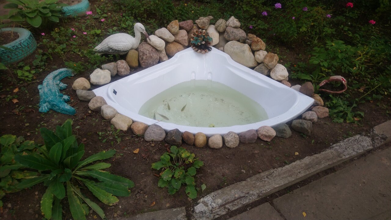 more clinic photos 2254