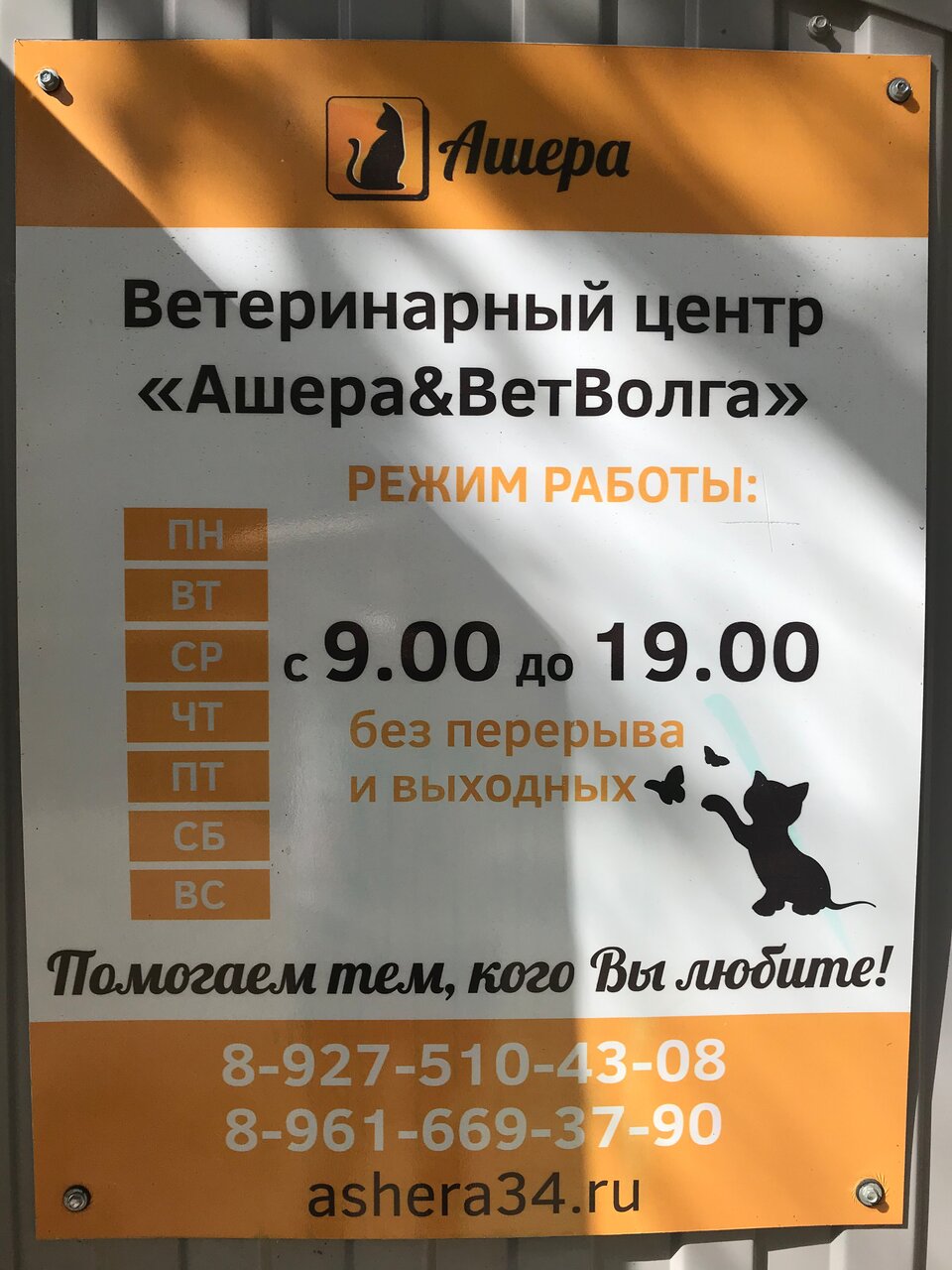 Фото клиники 34882