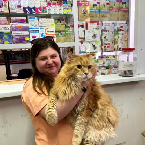 Ветклиника Доктор Пух