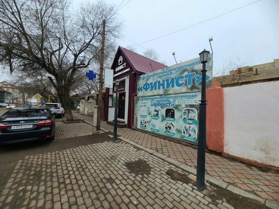 Фото клиники 9963