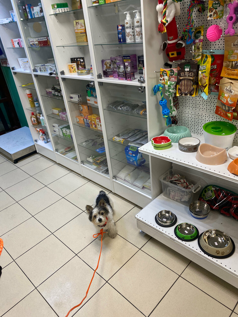 more clinic photos 46610