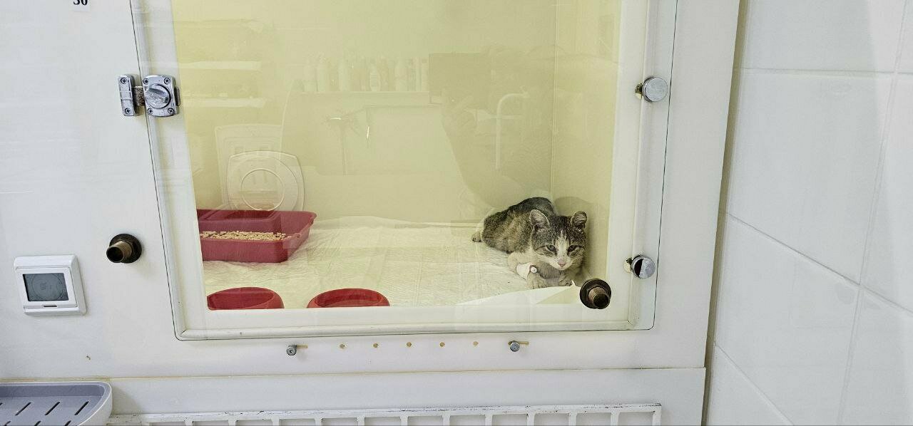 more clinic photos 84005