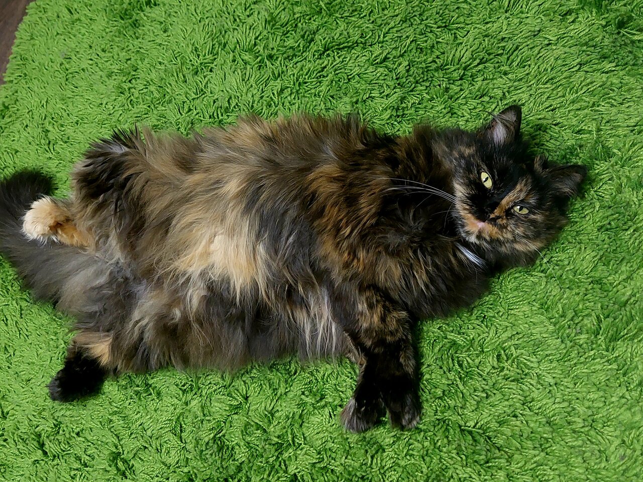 clinic general image