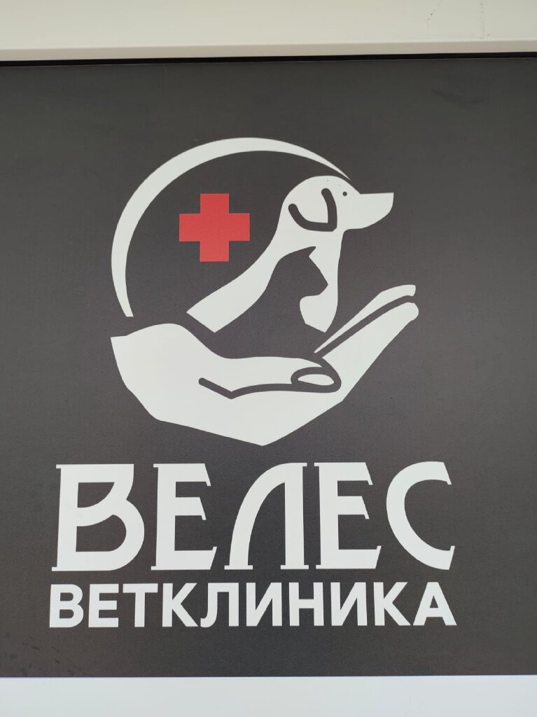 clinic logo