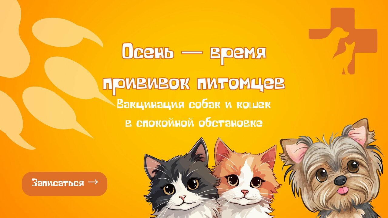 Фото клиники 11343