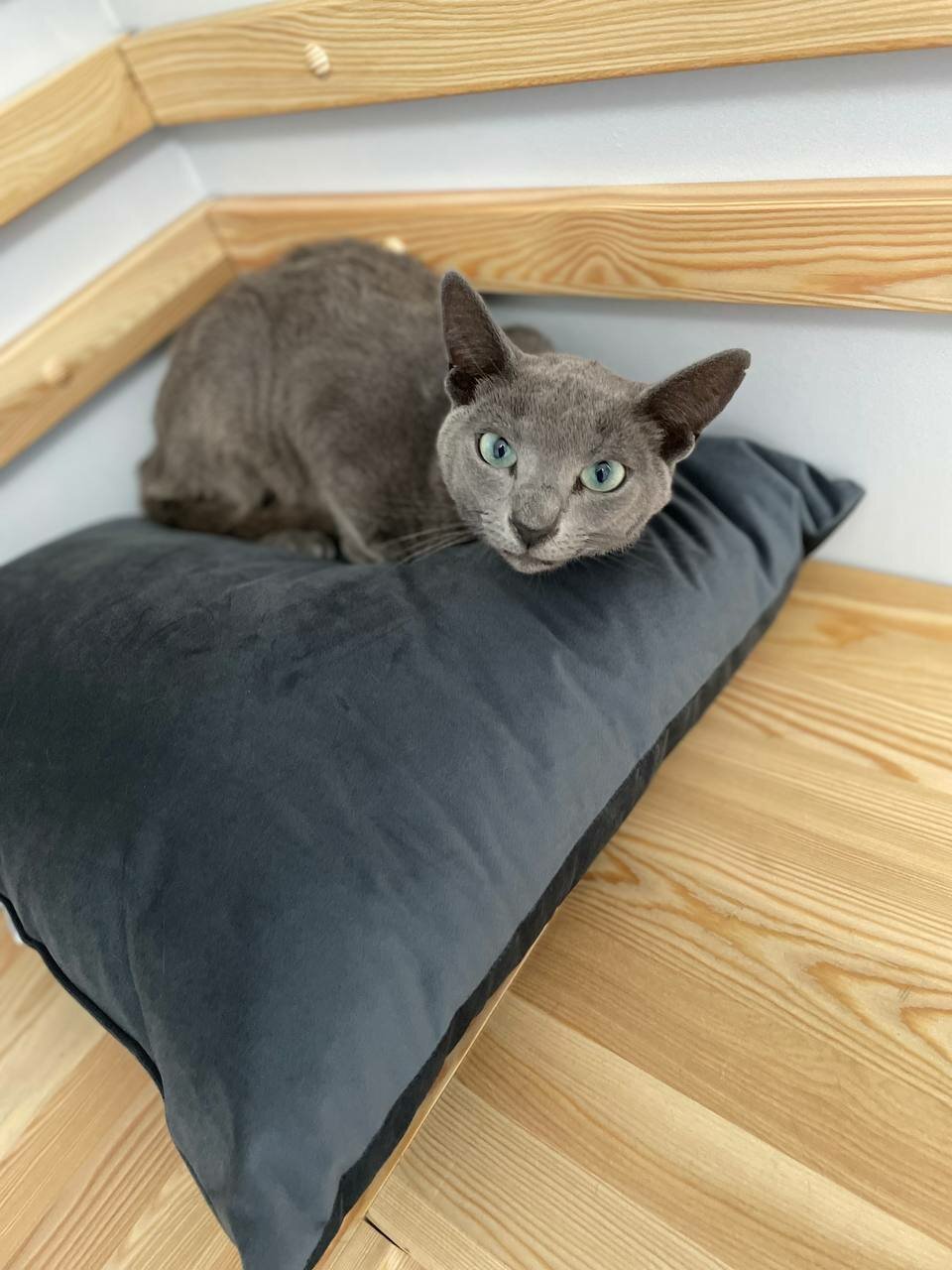 more clinic photos 21440