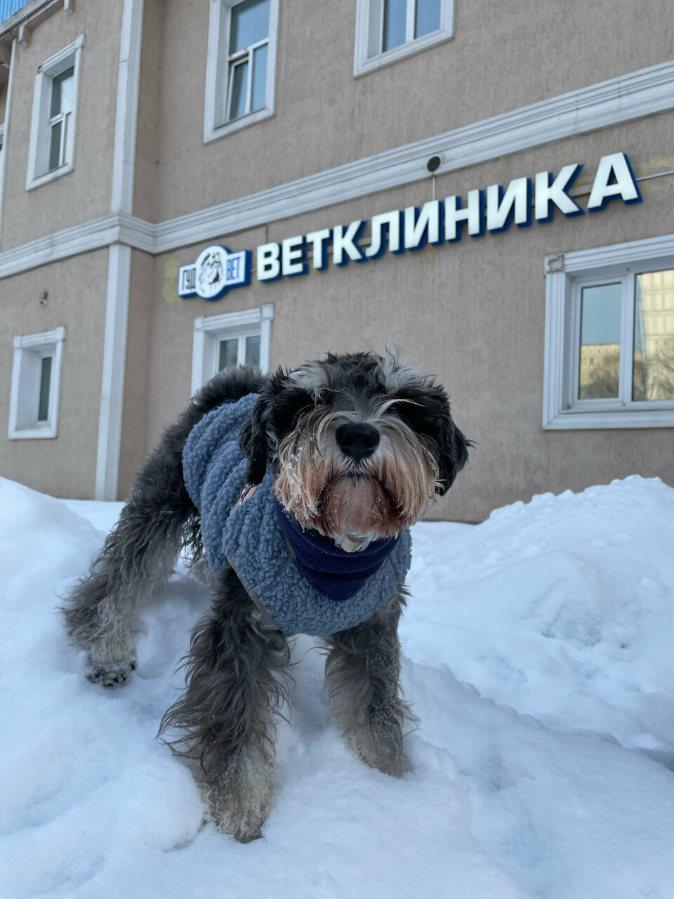 Фото клиники 68396