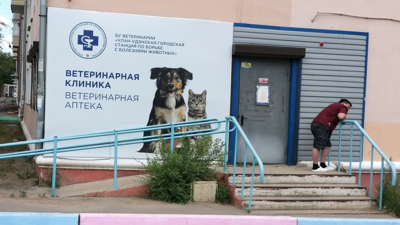 Фото клиники Бюджетное учреждение ветеринарии Улан-Удэнская городская станция по борьбе с болезнями животных