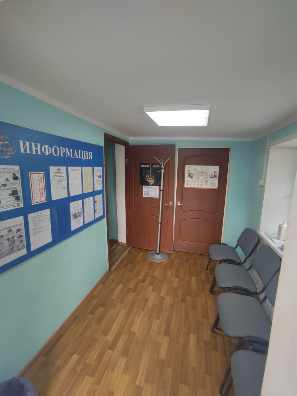 more clinic photos 84556