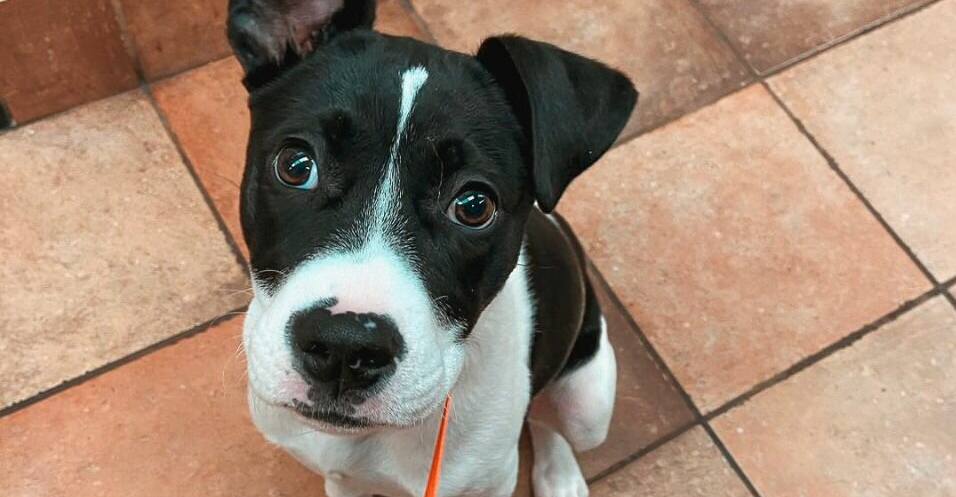 clinic general image