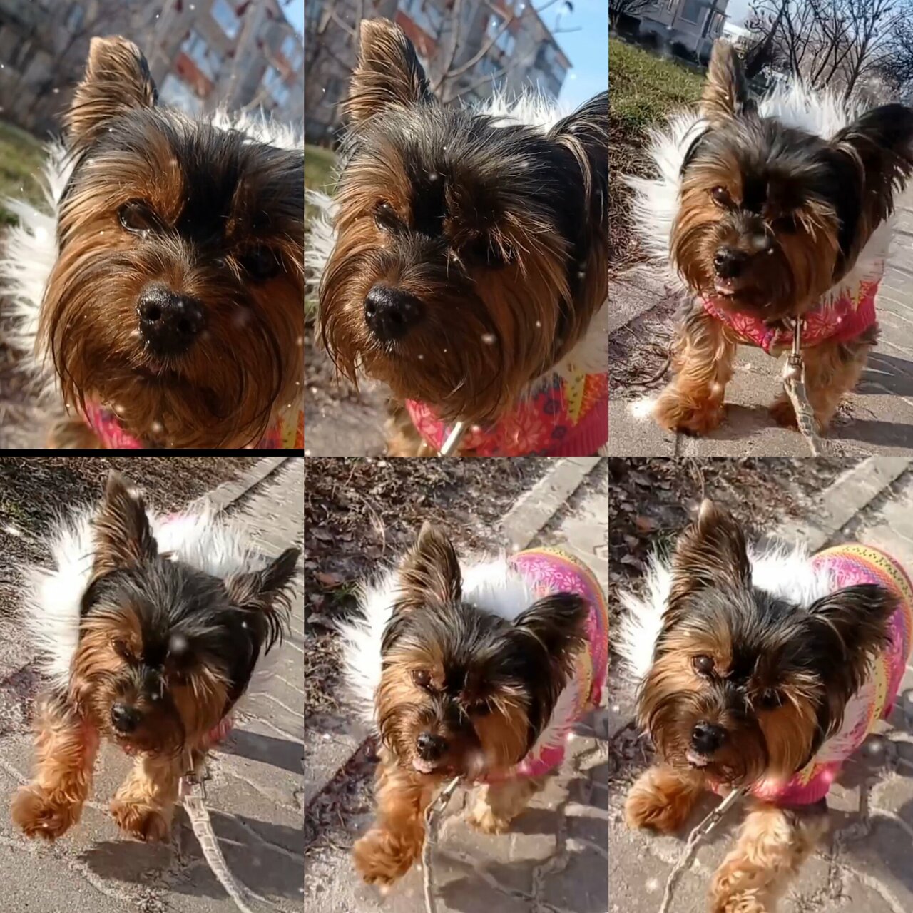 clinic general image