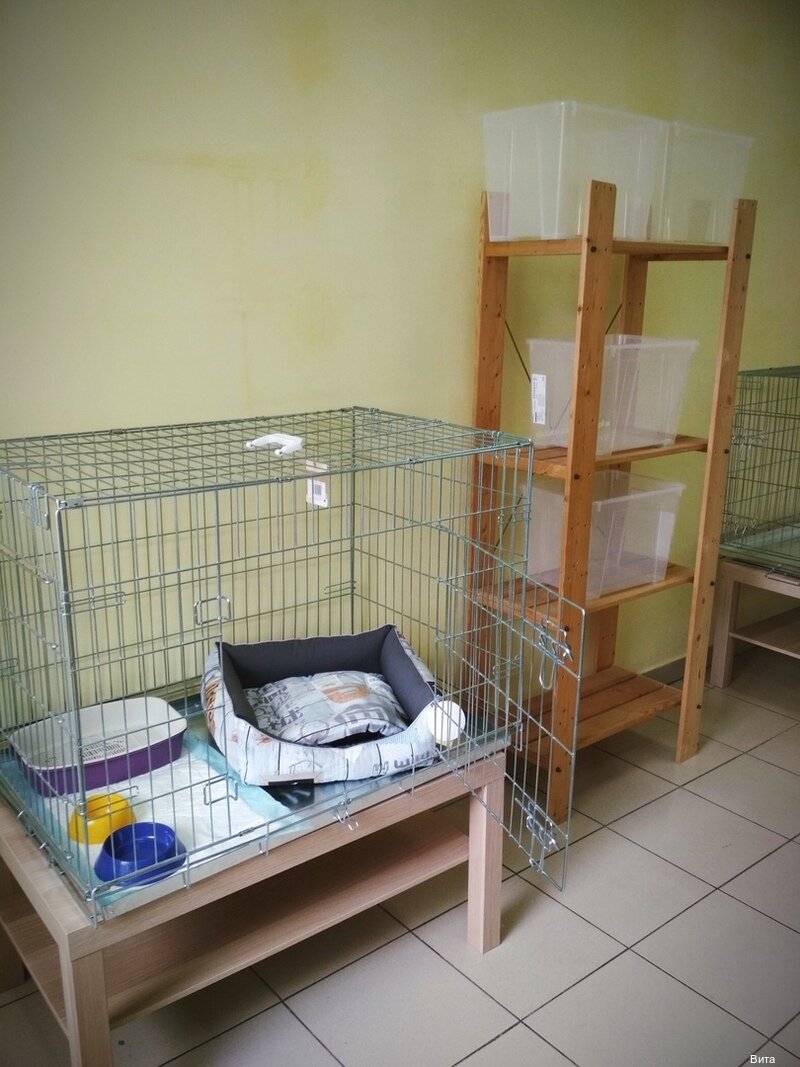 Фото клиники 46410