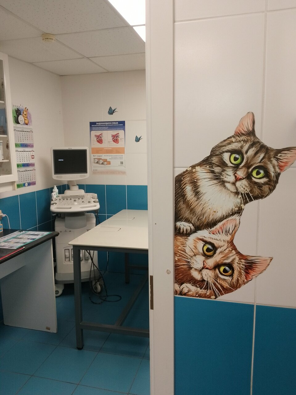 more clinic photos 42324