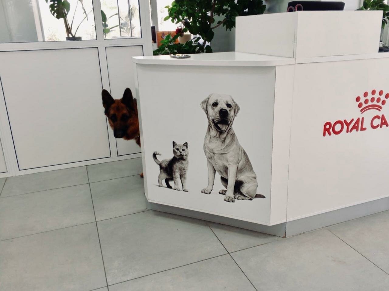 more clinic photos 18490