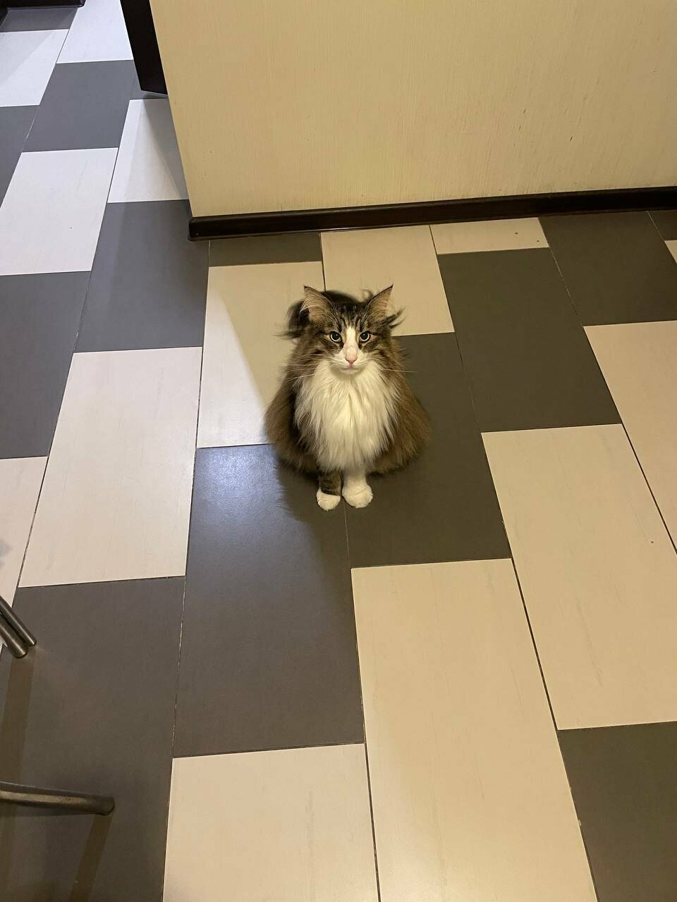 more clinic photos 12736