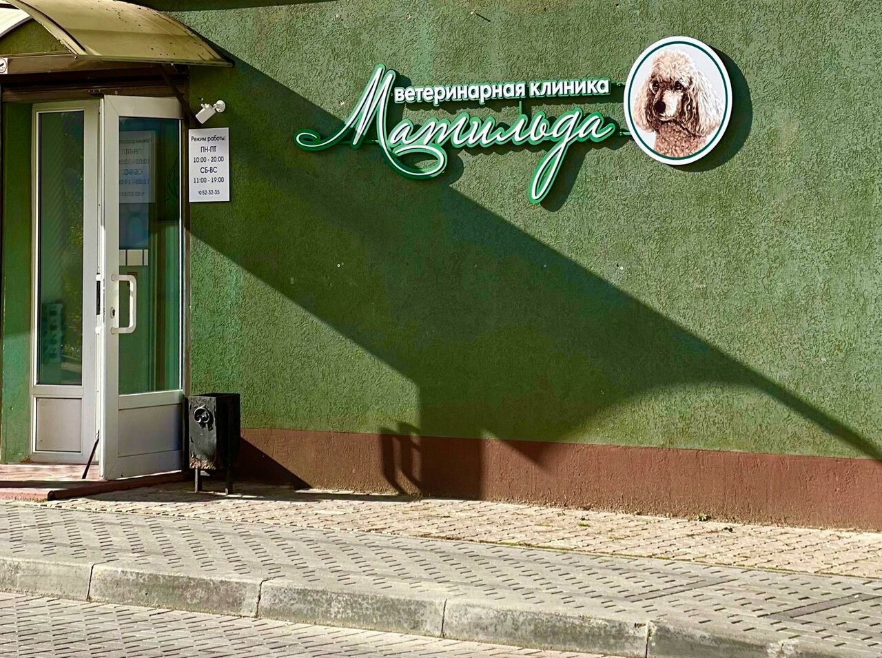 Фото «Матильда»
