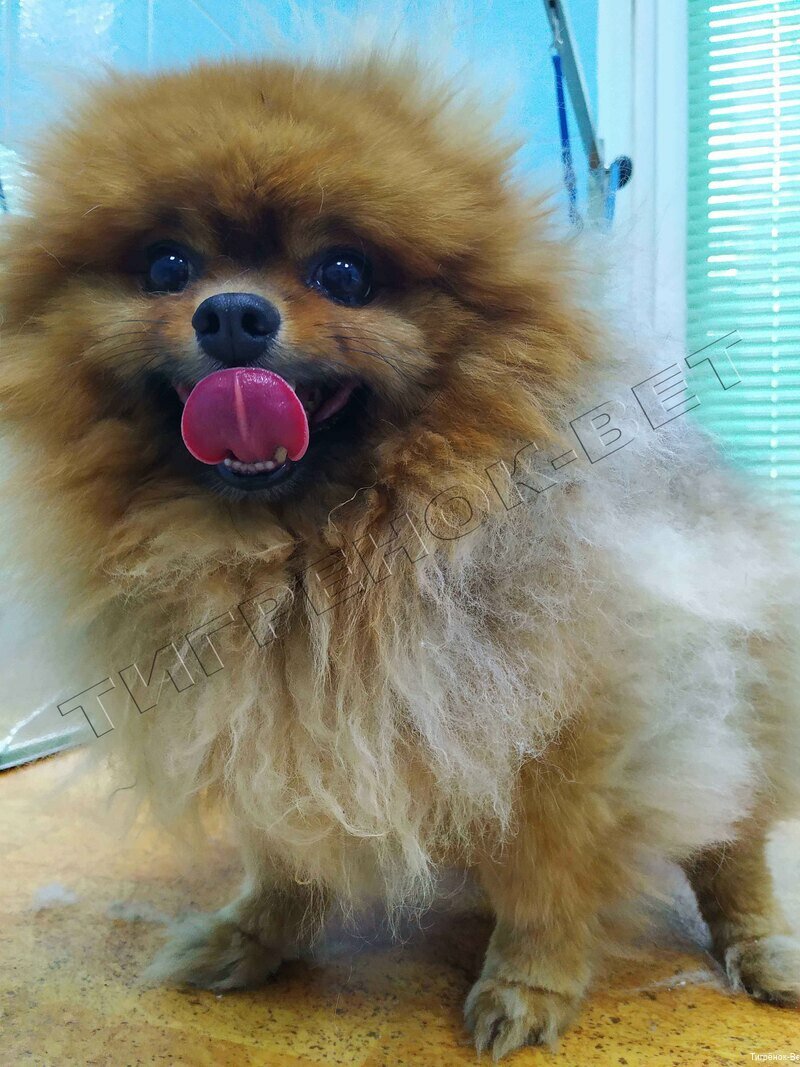 more clinic photos 1012