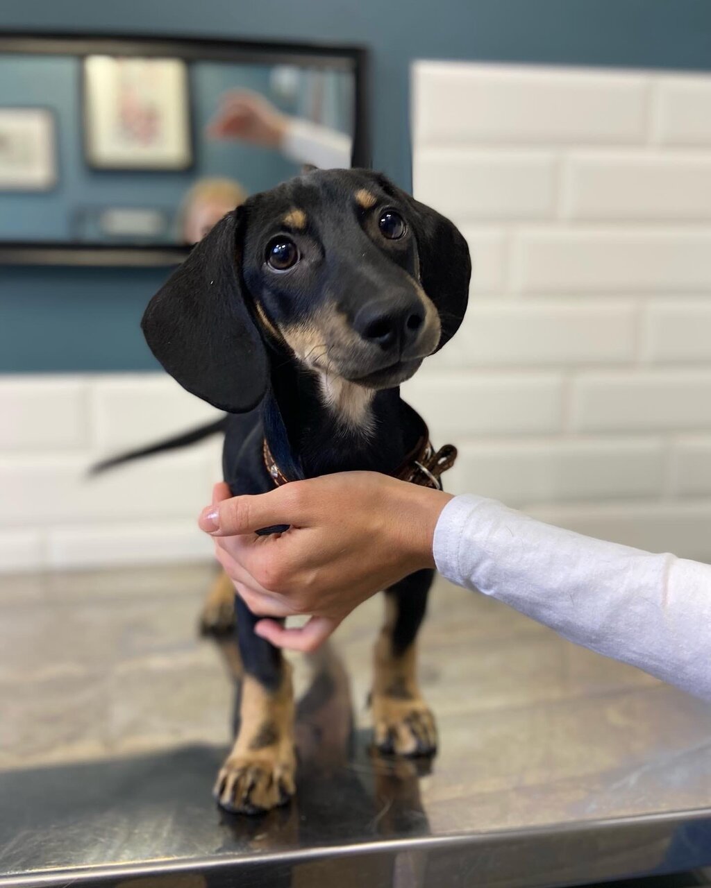 more clinic photos 63935