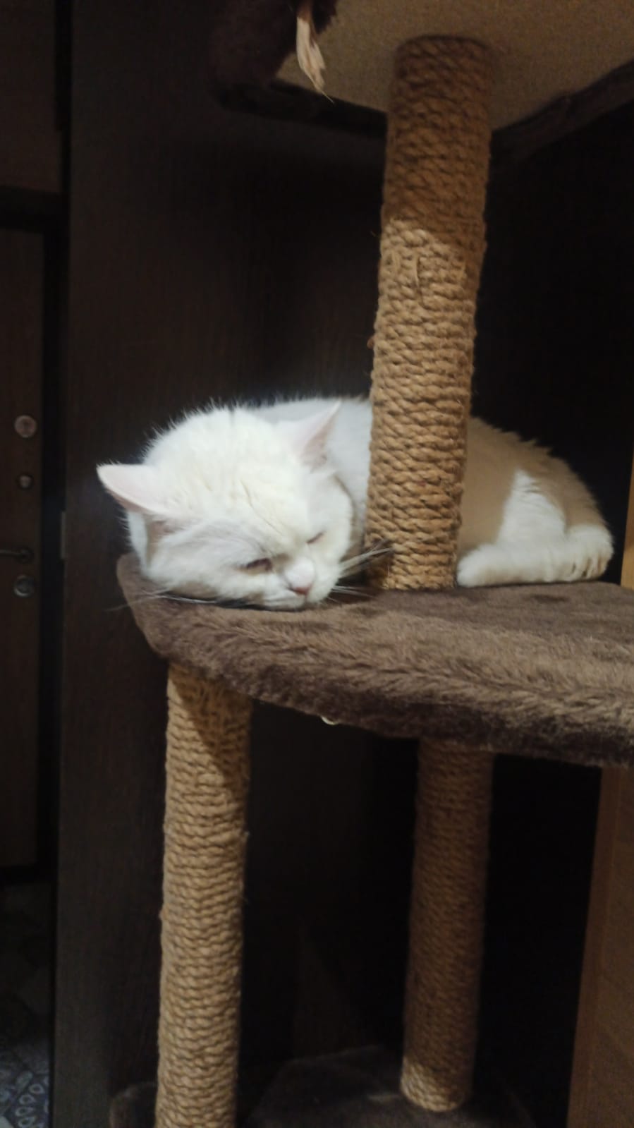 Логотип клиники