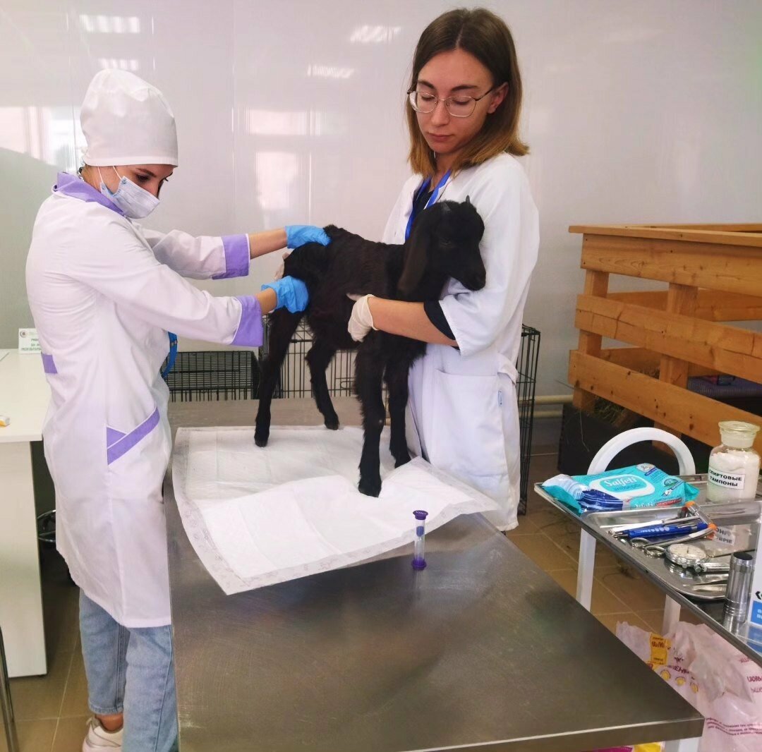 clinic general image