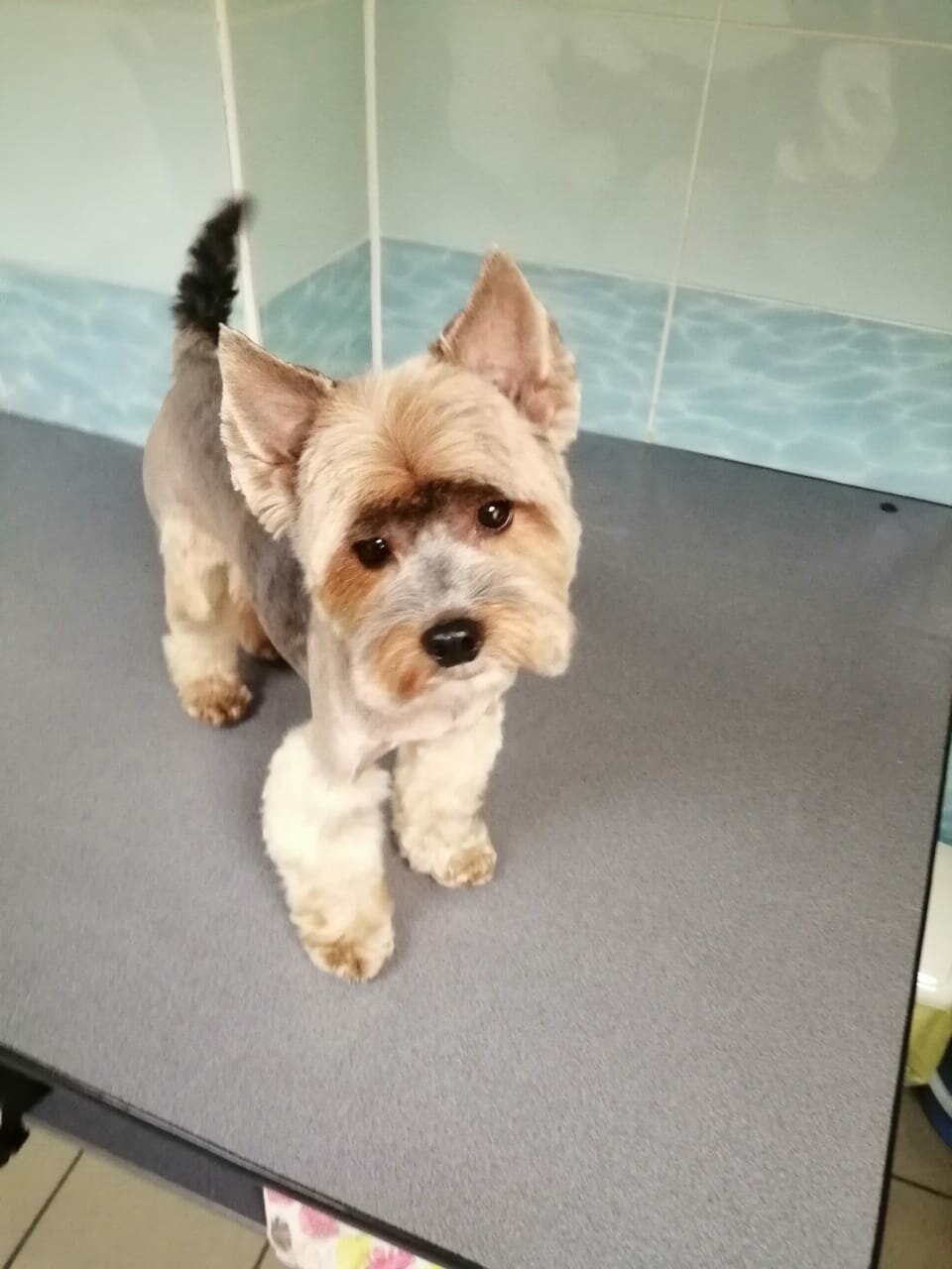 more clinic photos 5156