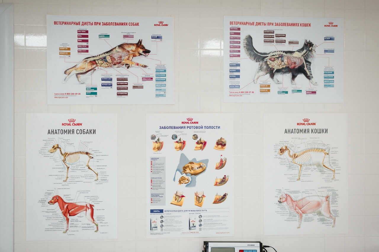 more clinic photos 4918