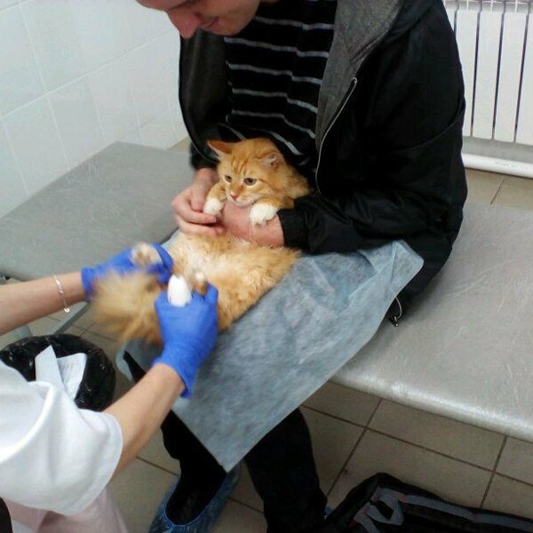 clinic general image