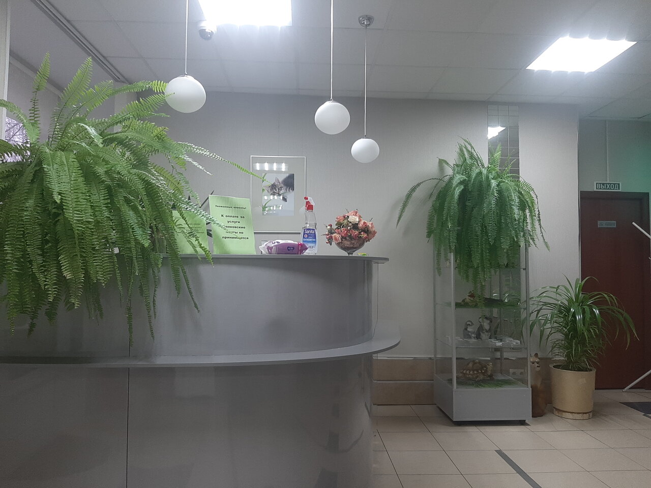 clinic general image