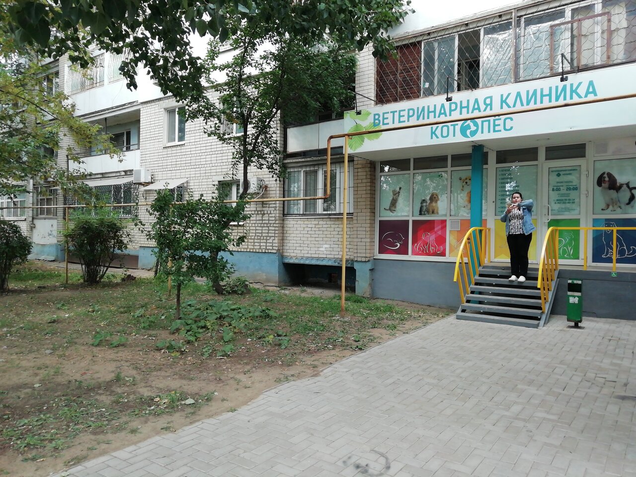 Фото «КотоПёс»