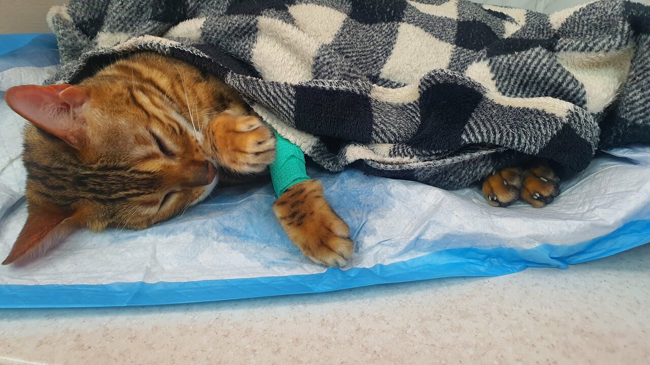 clinic general image