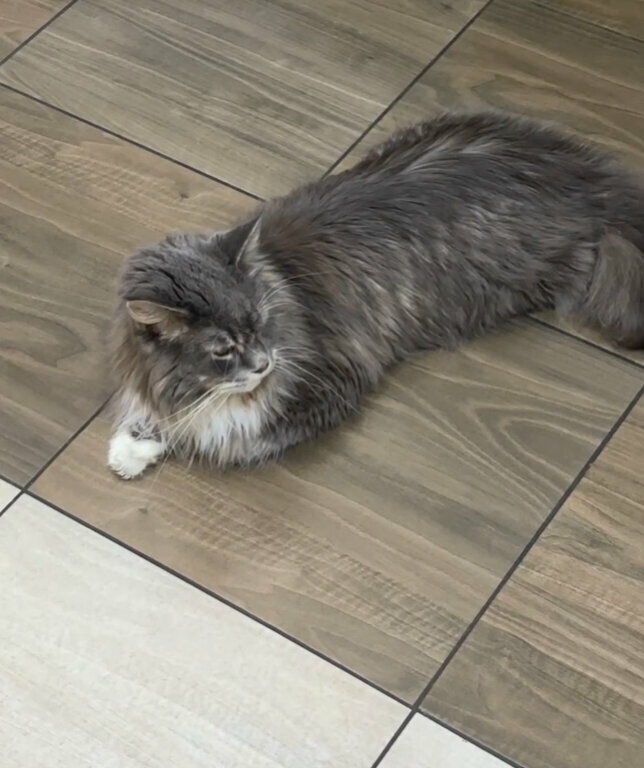 more clinic photos 78063