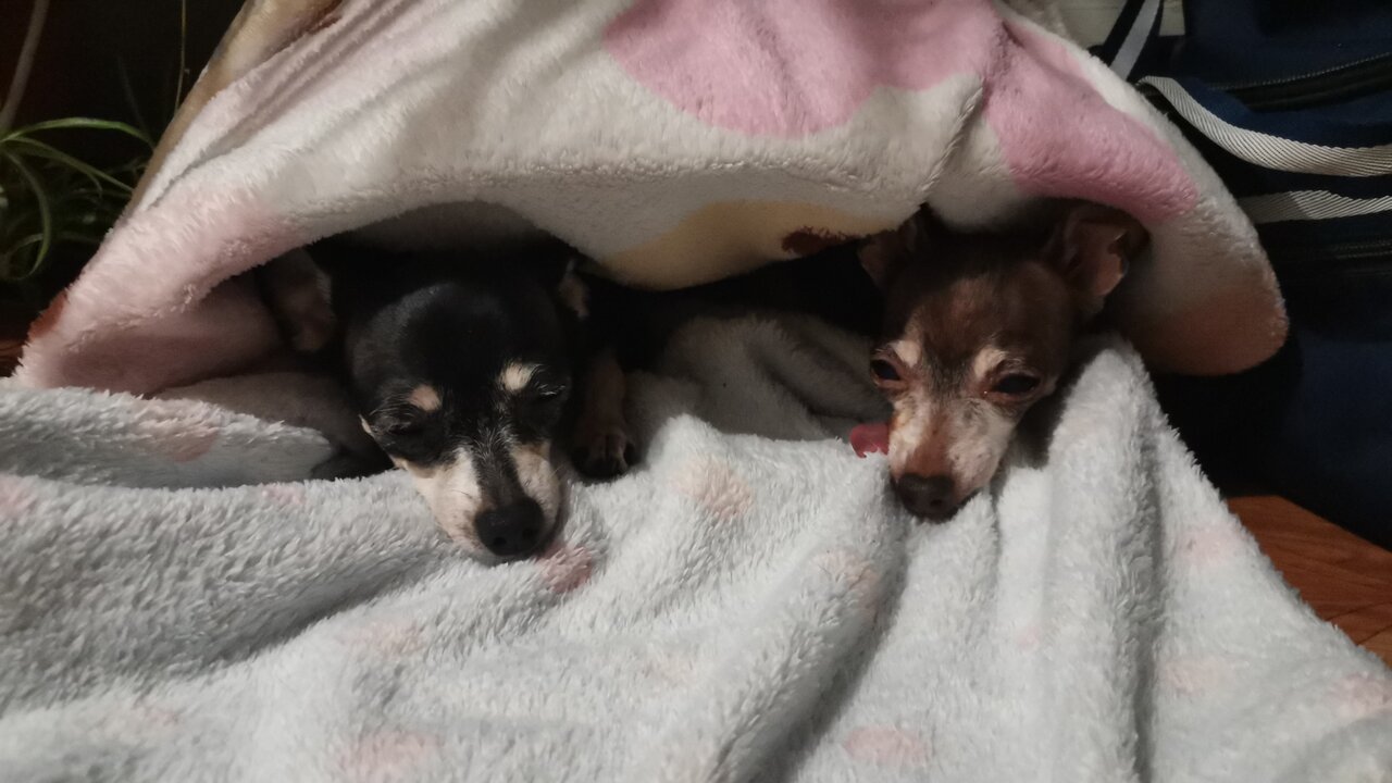 clinic general image