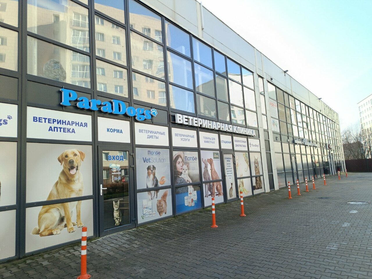 Фото «ParaDogs»