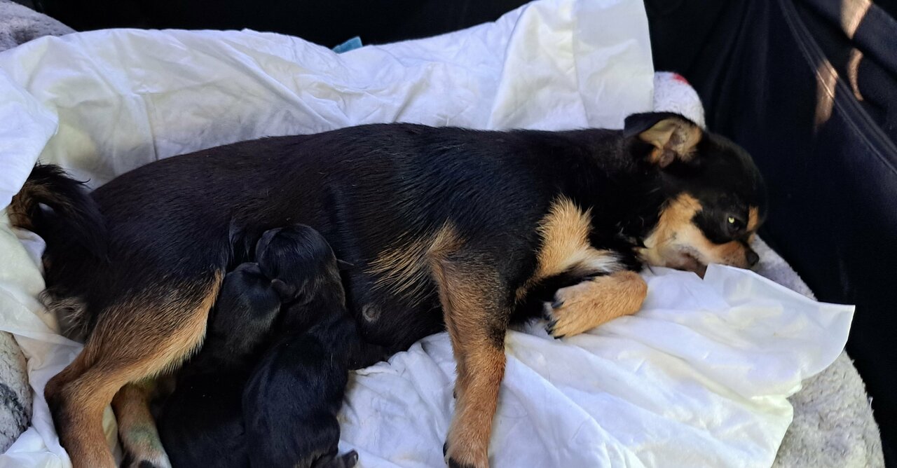 clinic general image