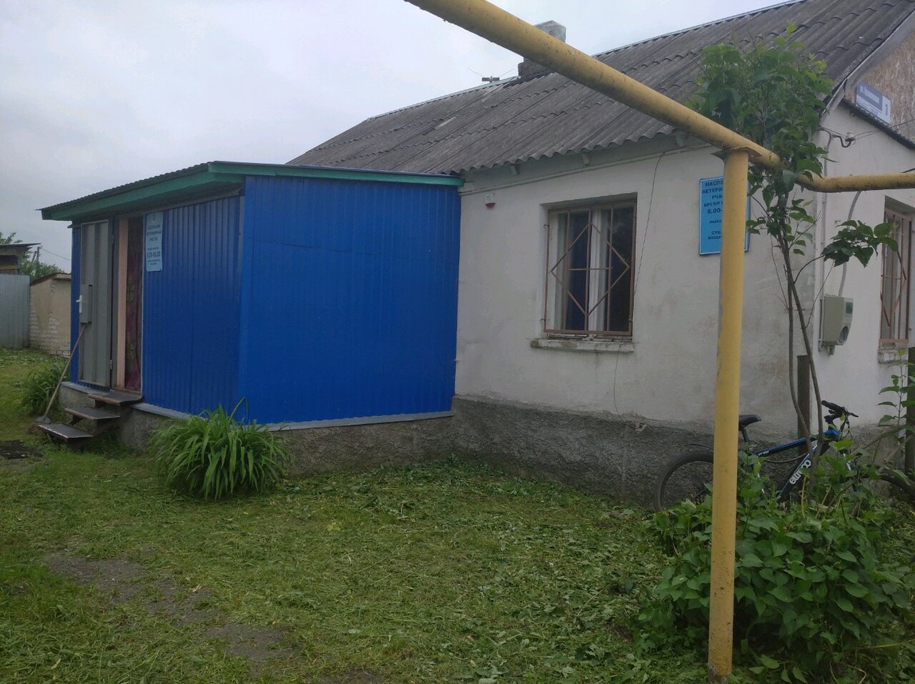 Воронежская городская станция по борьбе с болезнями животных