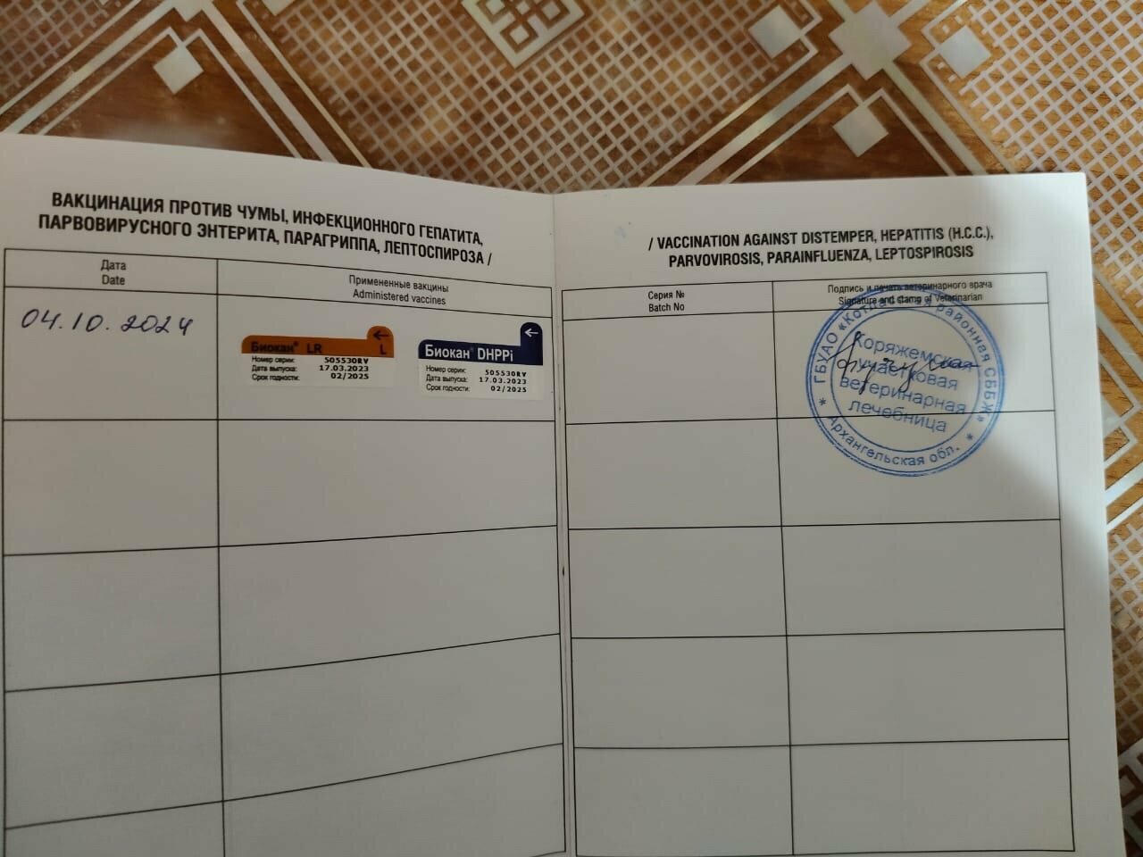 clinic general image