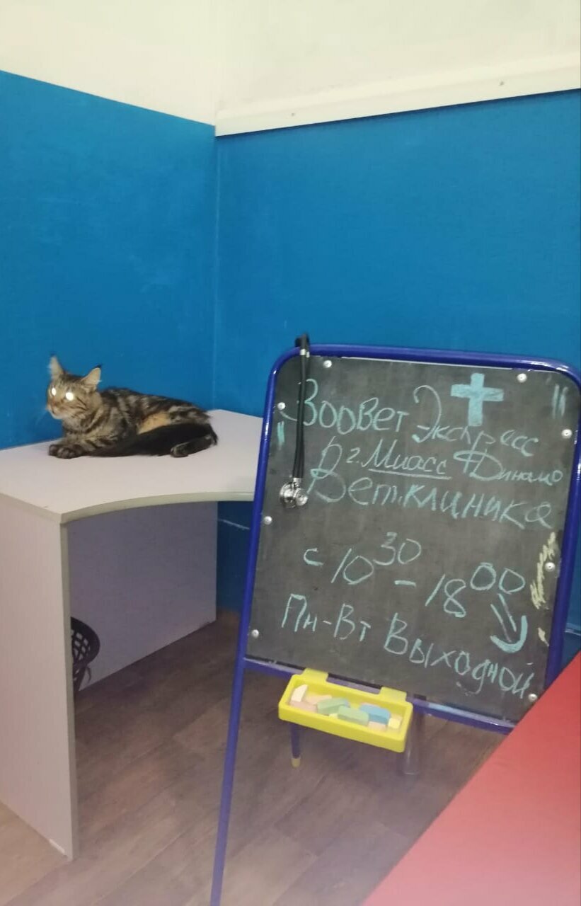 more clinic photos 33819