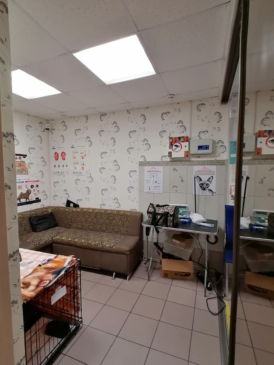 more clinic photos 14913